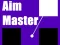 Žaidimas Aim Master internete