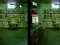Žaidimas Robot Bar Spot the differences internete