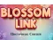 Žaidimas Blossom Link internete