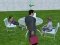 Žaidimas Millionaire Simulator 2024 internete