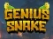 Žaidimas Genius Snake internete