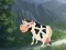 Žaidimas Cow Reach the Shed internete