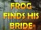 Žaidimas Frog Finds His Bride internete