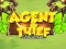 Žaidimas Agent & Thief Challenge internete