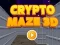Žaidimas Crypto Maze 3D internete