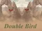 Žaidimas Double Bird internete