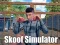 Žaidimas Skoof Simulator internete