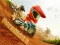Žaidimas Motocross internete