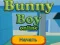 Žaidimas Bunny Boy Online internete
