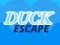 Žaidimas Duck Escape internete