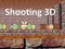 Žaidimas Shooting 3D internete