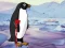 Žaidimas Heal the Wounded Penguin internete