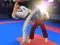 Žaidimas Karate Fighter internete