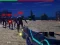 Žaidimas Zombie Survivor internete