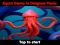 Žaidimas Squid Game In Dalgona Panic internete