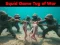 Žaidimas Squid Game Tug Of War internete