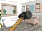 Žaidimas Smash The Room To Pieces internete