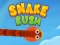 Žaidimas Snake Rush internete