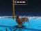 Žaidimas Animal Impossible Track Rush internete