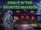 Žaidimas Find It In The Haunted Mansion internete