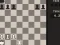 Žaidimas Fun Chess Puzzles! internete