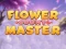 Žaidimas Flower Count Master internete