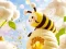 Žaidimas Find The Differences: Little Bee's Adventure internete