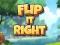 Žaidimas Flip It Right internete