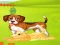 Žaidimas Bunny Key Quest internete