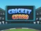 Žaidimas Cricket Craze internete