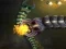 Žaidimas Mutant Snake internete
