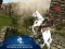 Žaidimas Ertugrul Gazi Horse Sim internete