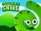 Žaidimas Frenzy Snake internete