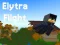 Žaidimas Elytra Flight internete