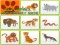 Žaidimas Wild Animals Kids Memory game internete