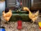 Žaidimas Poultry Farm Easter Escape internete