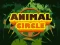 Žaidimas Animal Circle internete