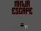 Žaidimas Ninja escape internete