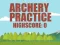 Žaidimas Archery Practice internete