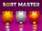 Žaidimas Sort Master internete