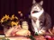 Žaidimas Funny Cats Puzzle internete