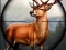 Žaidimas Animal Safari Hunter 2020 internete