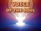 Žaidimas Voice Of The Soul internete
