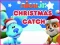 Žaidimas Nick Jr. Christmas Catch internete