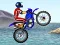 Žaidimas FMX team internete
