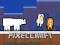 Žaidimas PixelCraft Animal School internete