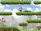 Žaidimas Maple story internete