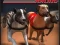 Žaidimas Greyhound Racing internete