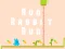 Žaidimas Run Rabbit Run internete