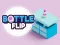 Žaidimas Bottle Flip internete